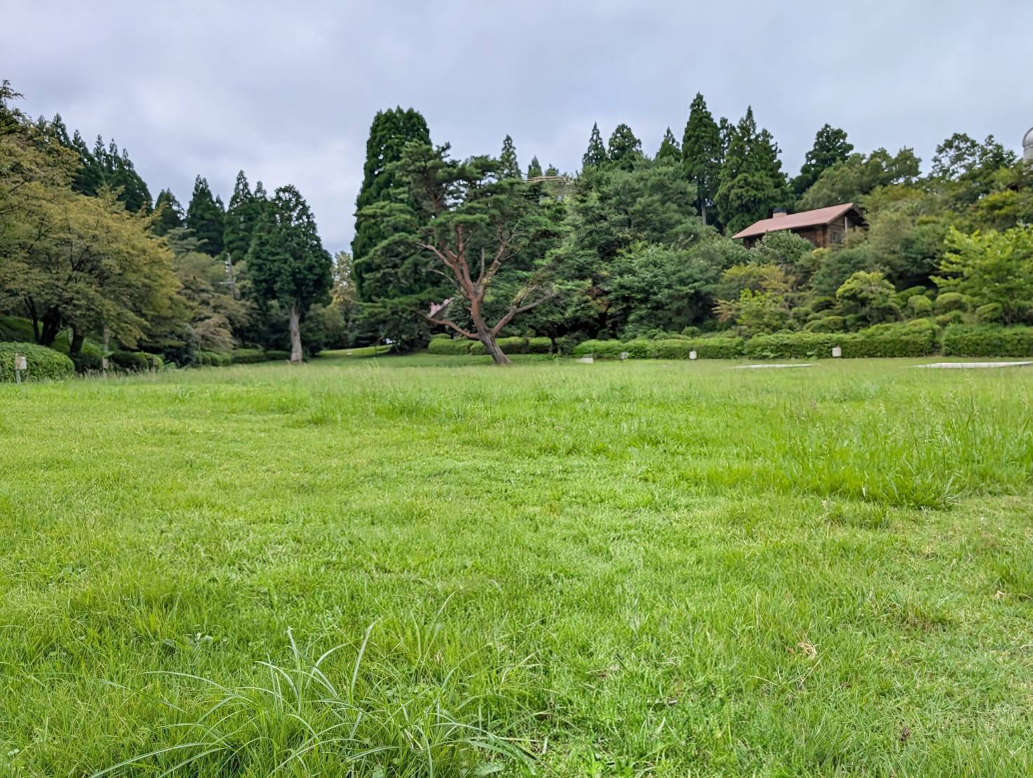 池の窪グリーンパークのキャンプ広場