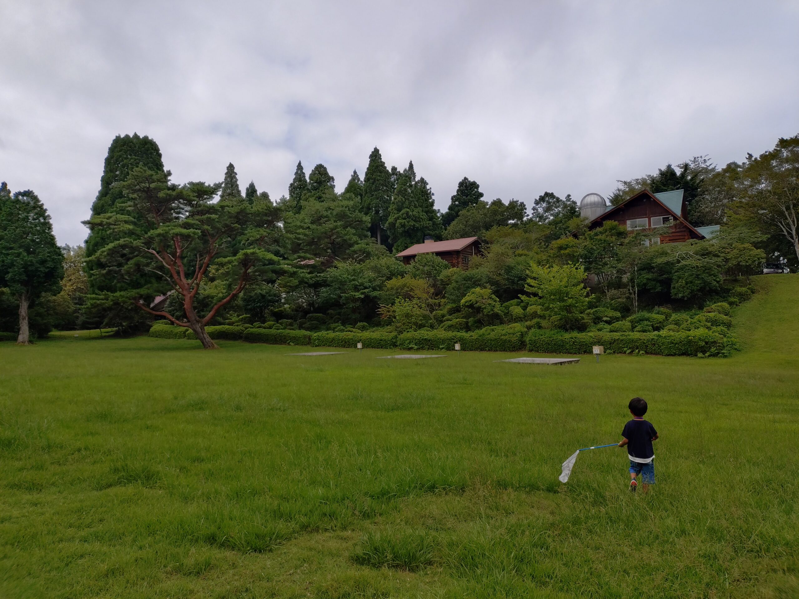 池の窪グリーンパークのキャンプ広場で虫取りをする子ども