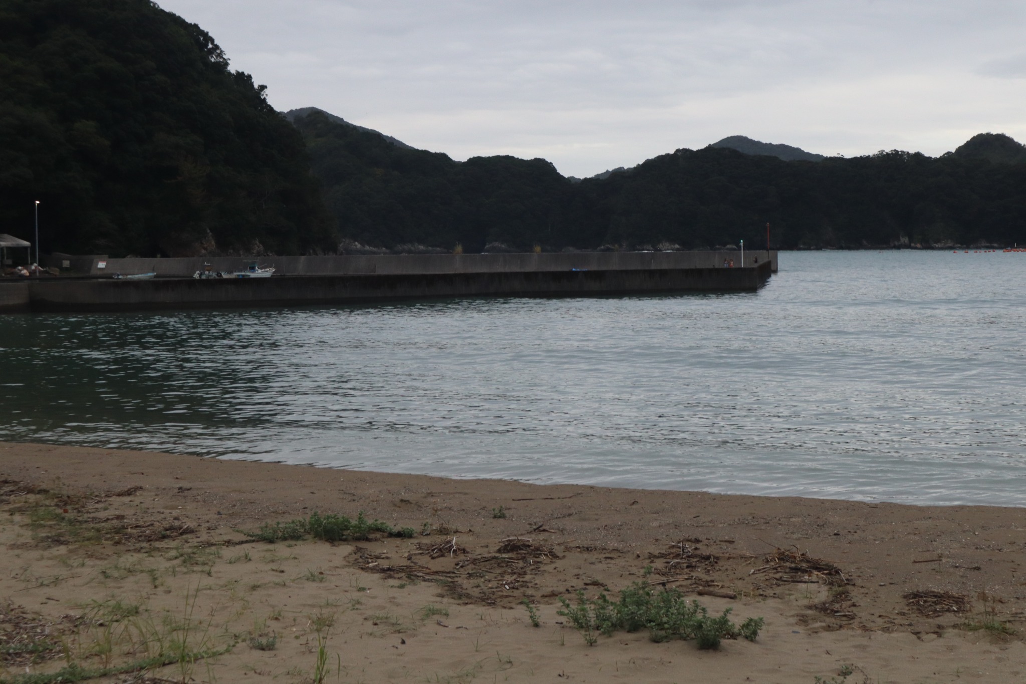 須美江の海岸。ケビンから散歩に出かけました