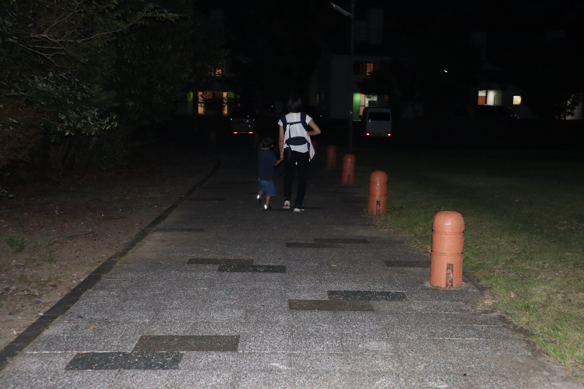夜の散歩道。周囲はかなり暗くなります