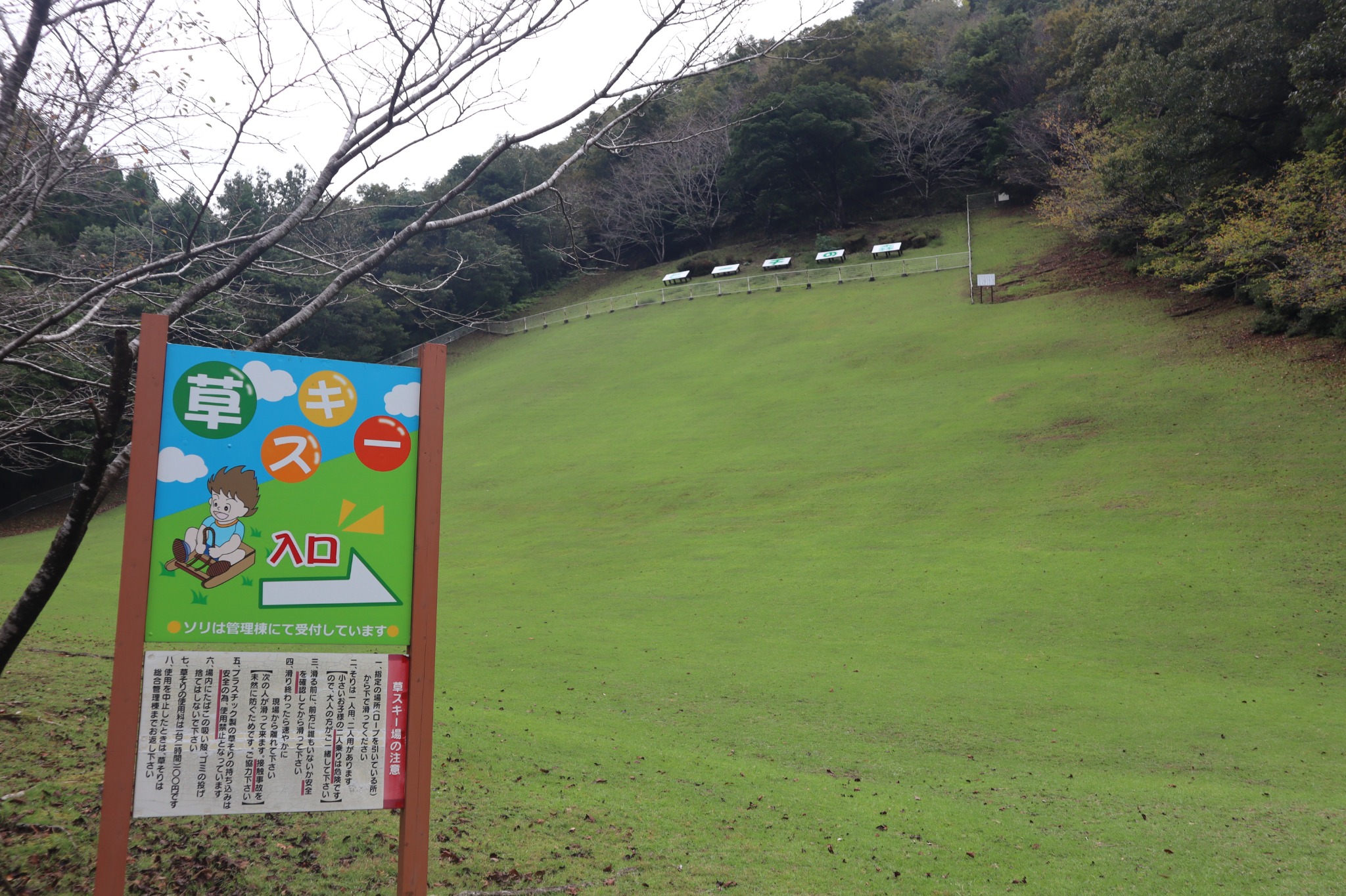 ビーチの森の草スキー場